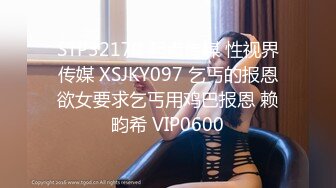 STP32170 起点传媒 性视界传媒 XSJKY097 乞丐的报恩欲女要求乞丐用鸡巴报恩 赖畇希 VIP0600